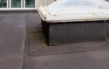disadvantages of Haine flat roofs